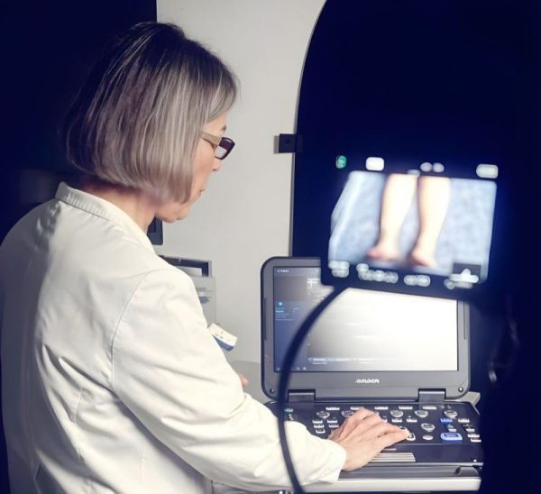 Escuela Idealismo práctico Dra Insua